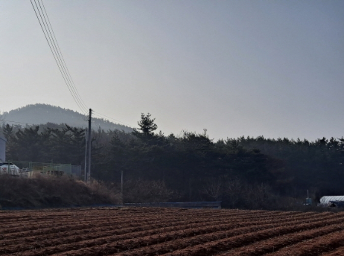 2023타경6494 임야 · 충청남도 서산시 대산읍 운산리 352-36