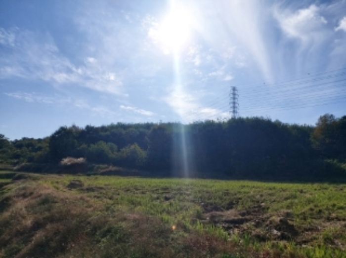2024타경4525 임야 · 충청남도 당진시 송악읍