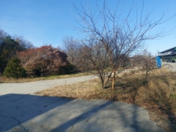 2024타경4969 · 충청남도 당진시 합덕읍