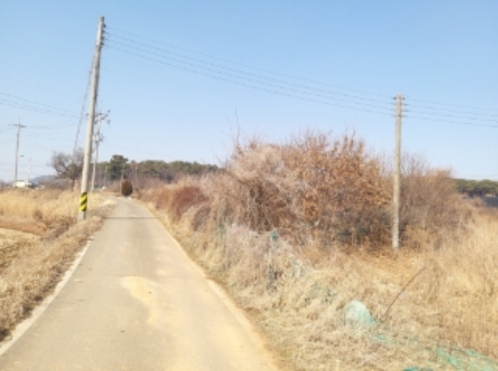 2024타경50856 대지 · 충청남도 당진시 송악읍