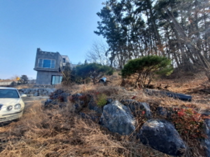 2024타경51064 대지 · 충청남도 서산시 해미면 반양리 242-19