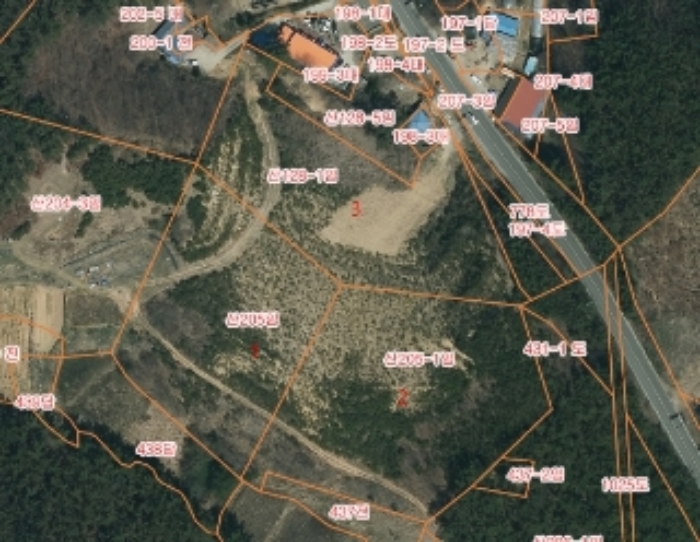 2024타경55868 임야 · 충청남도 태안군 남면 당암리 170-6