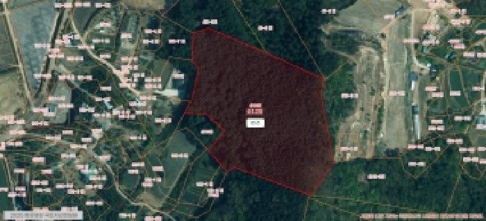 2024타경59532 임야 · 충청남도 서산시 부석면 강수리 산12