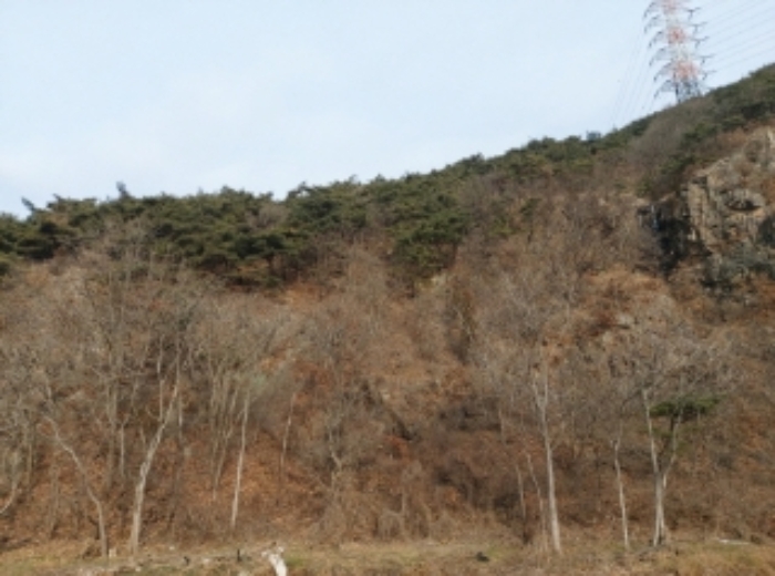 2024타경61573 임야 · 충청남도 당진시 구룡동