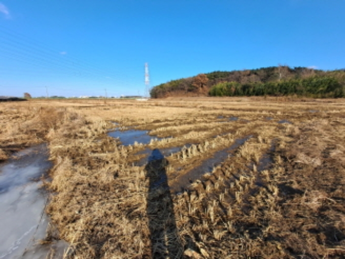 2025타경50013 대지 · 충청남도 당진시 송악읍