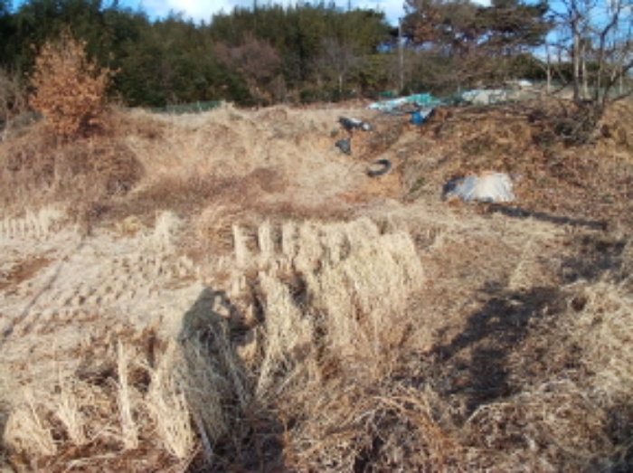 2025타경50037 · 충청남도 서산시 대산읍 대산리 323