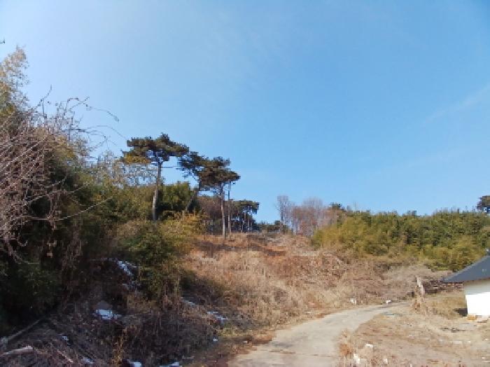 2025타경50648 · 충청남도 당진시 석문면 장고항리 158