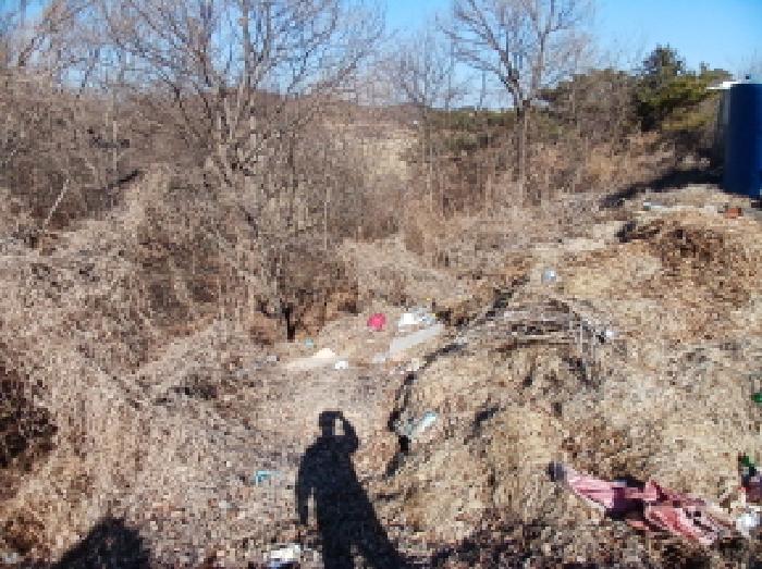 2025타경50958 임야 · 충청남도 당진시 석문면