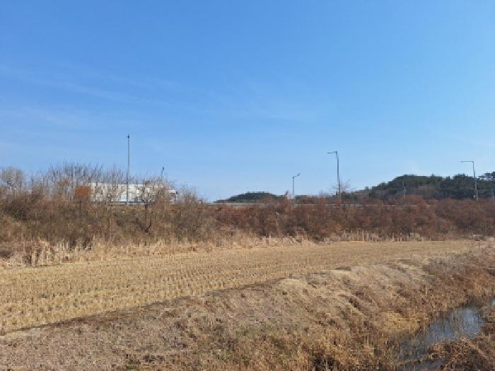 2025타경51044 임야 · 충청남도 당진시 석문면 삼봉리 1081-38