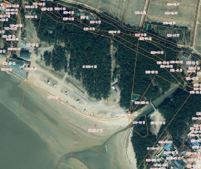2025타경51162 대지 · 충청남도 태안군 남면