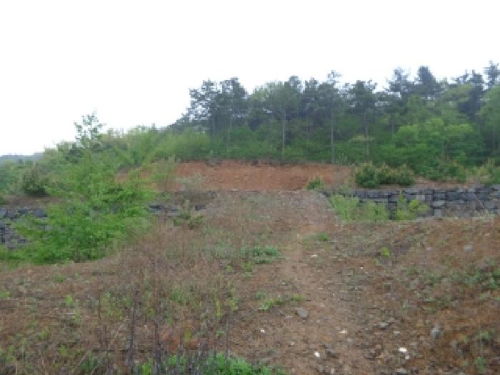 2025타경51287 임야 · 충청남도 서산시 인지면 산동리 248-23