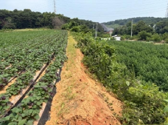 2025타경51422 대지 · 충청남도 당진시 송악읍