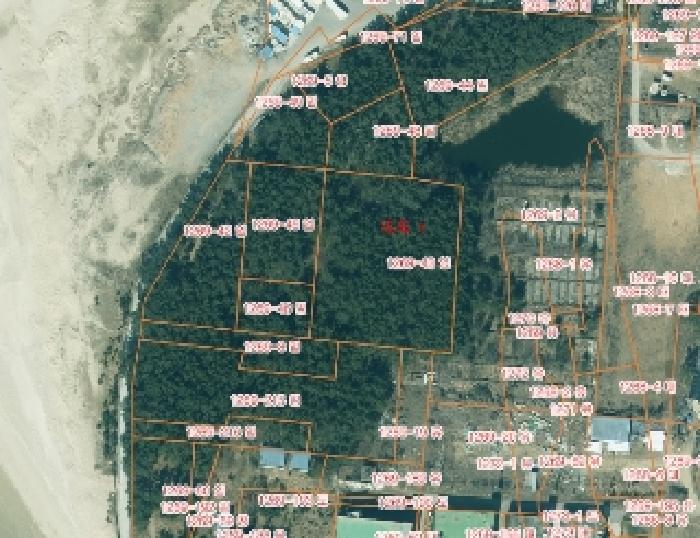 2025타경51430 임야 · 충청남도 태안군 안면읍 창기리 1269-43