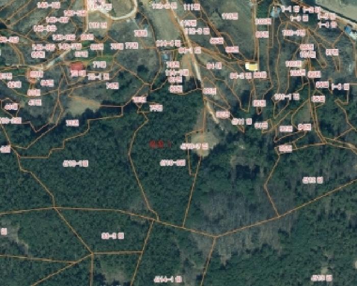 2025타경51442 임야 · 충청남도 서산시 팔봉면
