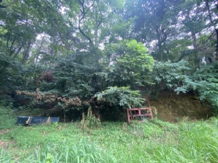 2025타경51515 임야 · 충청남도 당진시 대덕동 1061-8