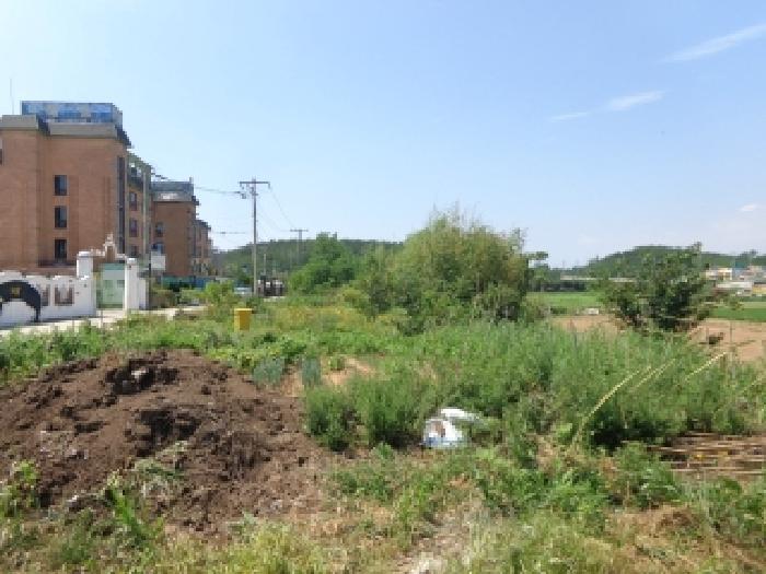 2025타경51546 임야 · 충청남도 태안군 남면 신온리 701-28