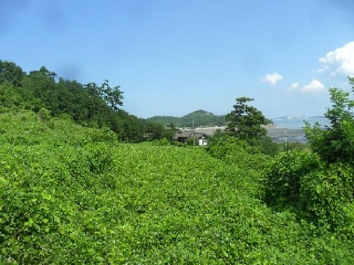 2025타경51688 임야 · 충청남도 태안군 이원면 내리 591-6