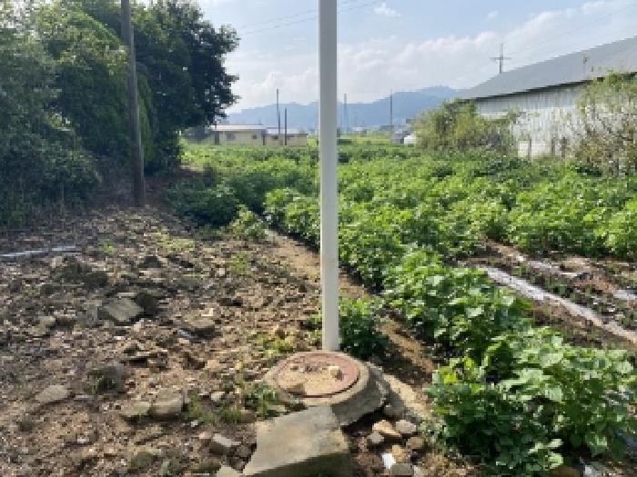 2025타경51705 · 충청남도 당진시 면천면 성상리 348
