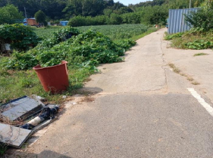2025타경51729 · 충청남도 당진시 석문면 삼봉리 441