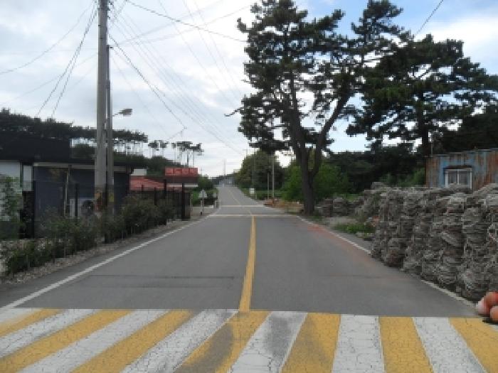 2025타경51761 대지 · 충청남도 태안군 근흥면 신진도리 184