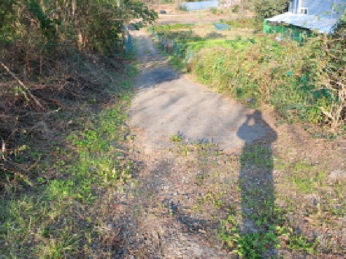 2025타경51817 · 충청남도 당진시 고대면