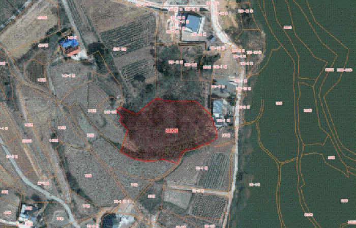 2025타경51874 임야 · 충청남도 서산시 음암면 부장리 산25