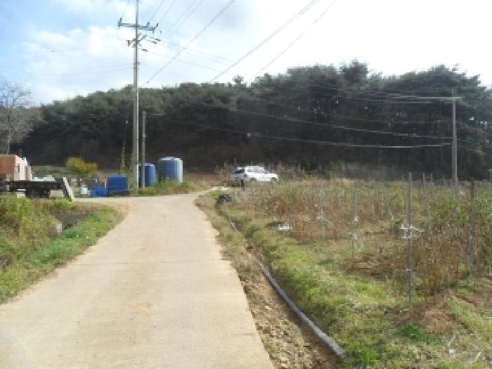 2025타경51884 · 충청남도 태안군 고남면 장곡리 319-1