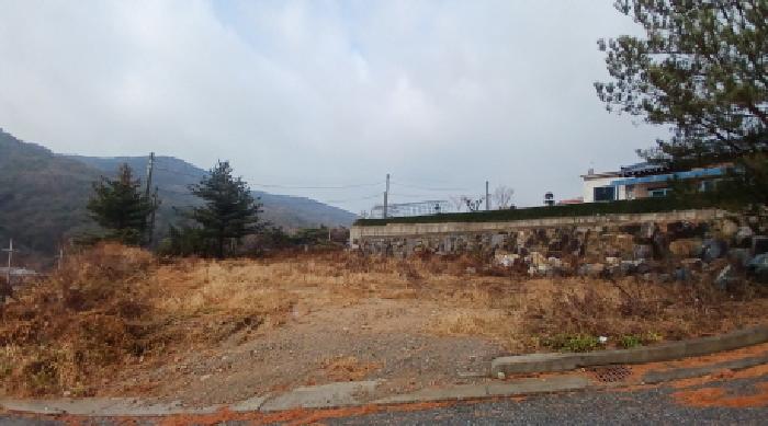 2025타경51961 임야 · 충청남도 서산시 운산면 고풍리 196-26