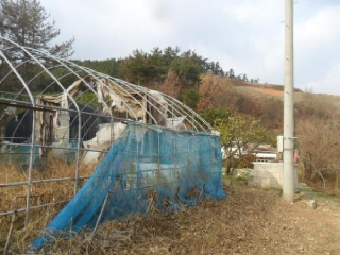 2025타경51988 임야 · 충청남도 태안군 원북면 장대리 919-25