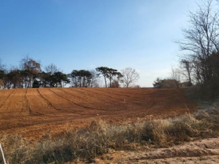 2025타경52085 임야 · 충청남도 당진시 신평면