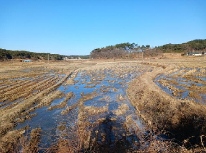 2025타경52096 전답 · 충청남도 서산시 대산읍