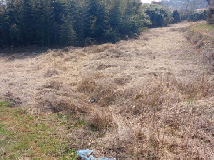 2025타경552 대지 · 충청남도 당진시 고대면 슬항리 494