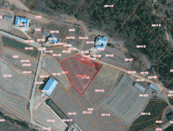 2025타경605 전답 · 충청남도 서산시 성연면 고남리 195-5