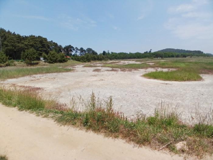 2025타경665 · 충청남도 서산시 대산읍