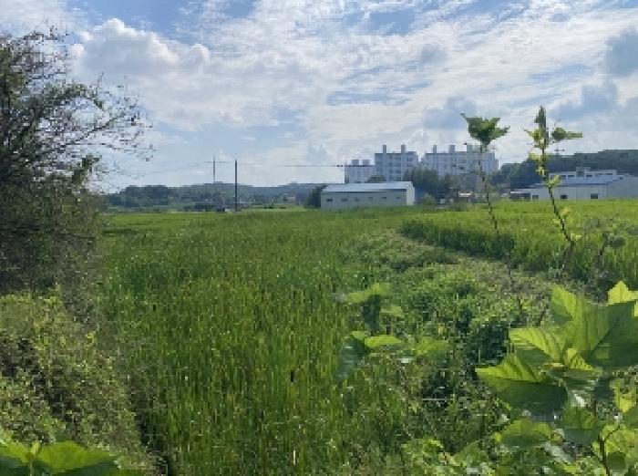 2025타경734 전답 · 충청남도 당진시 송악읍