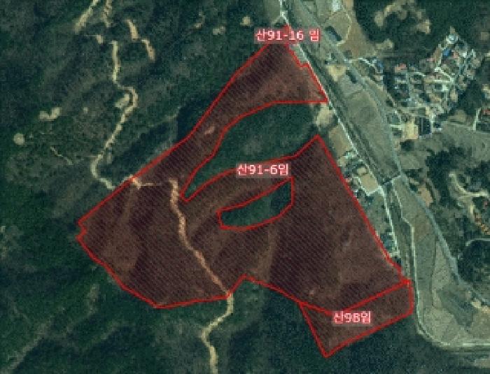 2025타경788 임야 · 충청남도 서산시 운산면 고풍리 산91-6
