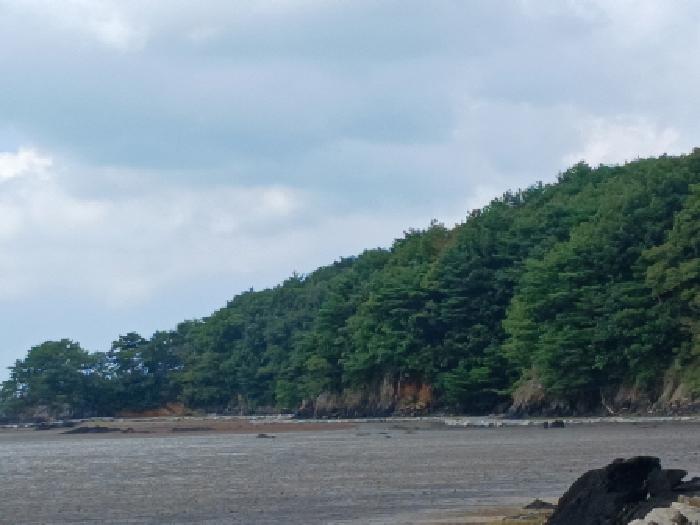 2025타경830 임야 · 충청남도 서산시 지곡면