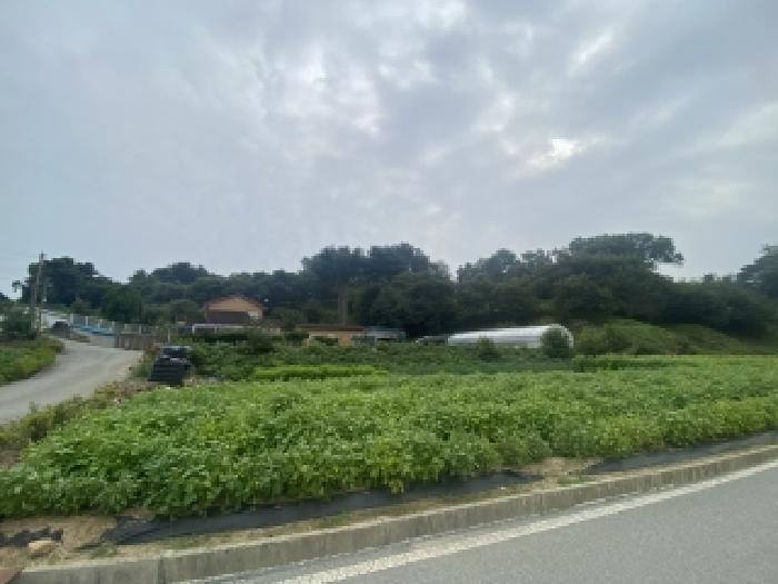 2025타경854 전답 · 충청남도 당진시 면천면