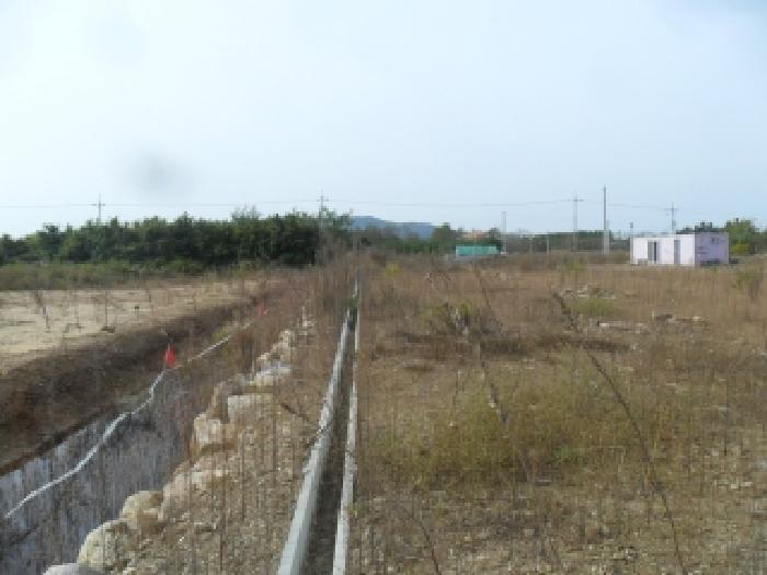 2025타경877 임야 · 충청남도 태안군 원북면 신두리 1233-82