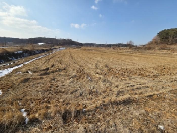 2025타경887 전답 · 충청남도 당진시 송악읍 영천리 260