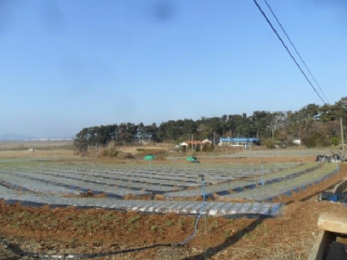 2025타경938 · 충청남도 서산시 부석면 봉락리 639-1