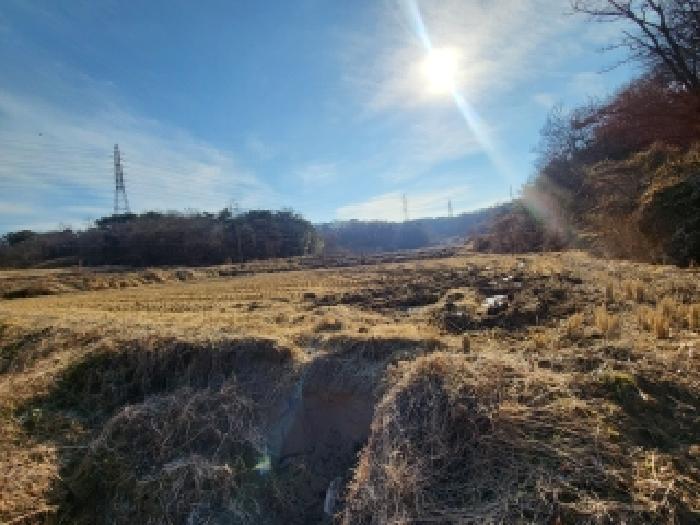 2025타경961 전답 · 충청남도 당진시 송악읍