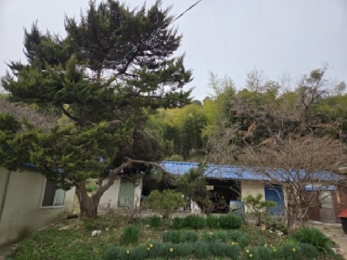 2026타경107 · 충청남도 당진시 시곡동 1087