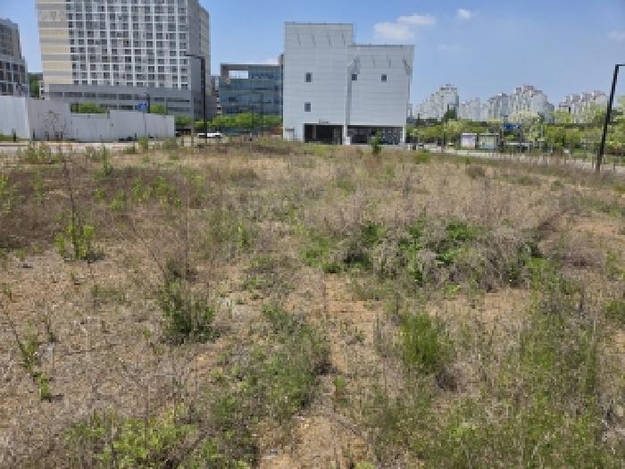2026타경165 대지 · 충청남도 당진시 수청동 1594