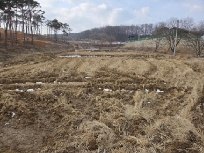 2026타경21 · 충청남도 당진시 송악읍 본당리 280