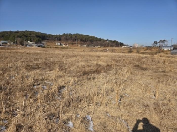 2026타경34 전답 · 충청남도 당진시 송악읍 부곡리 383-29