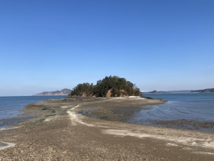 2026타경50046 임야 · 충청남도 태안군 이원면