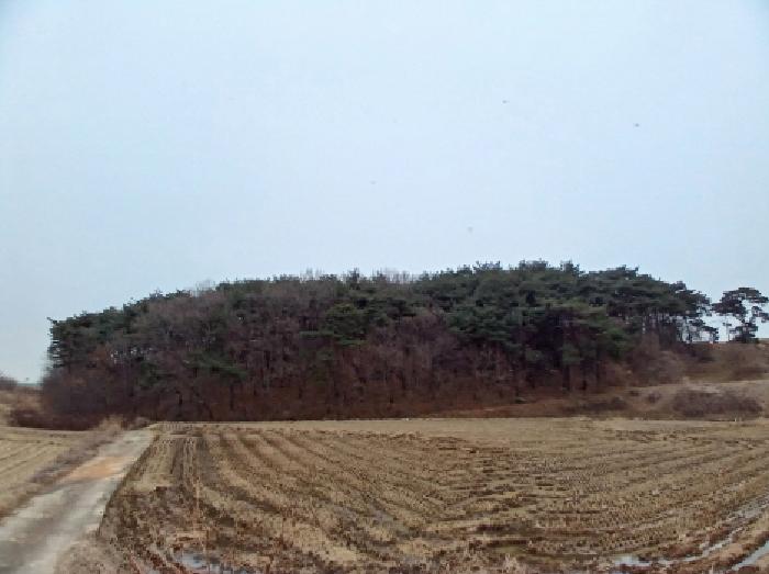 2026타경50112 임야 · 충청남도 당진시 석문면 통정리 115-9