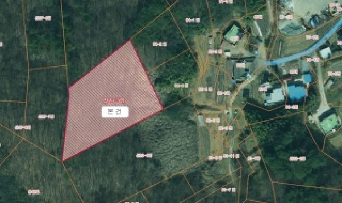 2026타경50179 임야 · 충청남도 당진시 채운동 산23-5