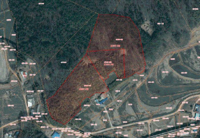 2026타경50216 임야 · 충청남도 서산시 성연면 명천리 산164-1
